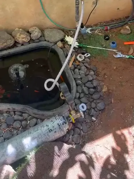 בלון גז סימון מחובר בצינור לברז מים בחצר של דירת גן, ליד בריכת נוי
